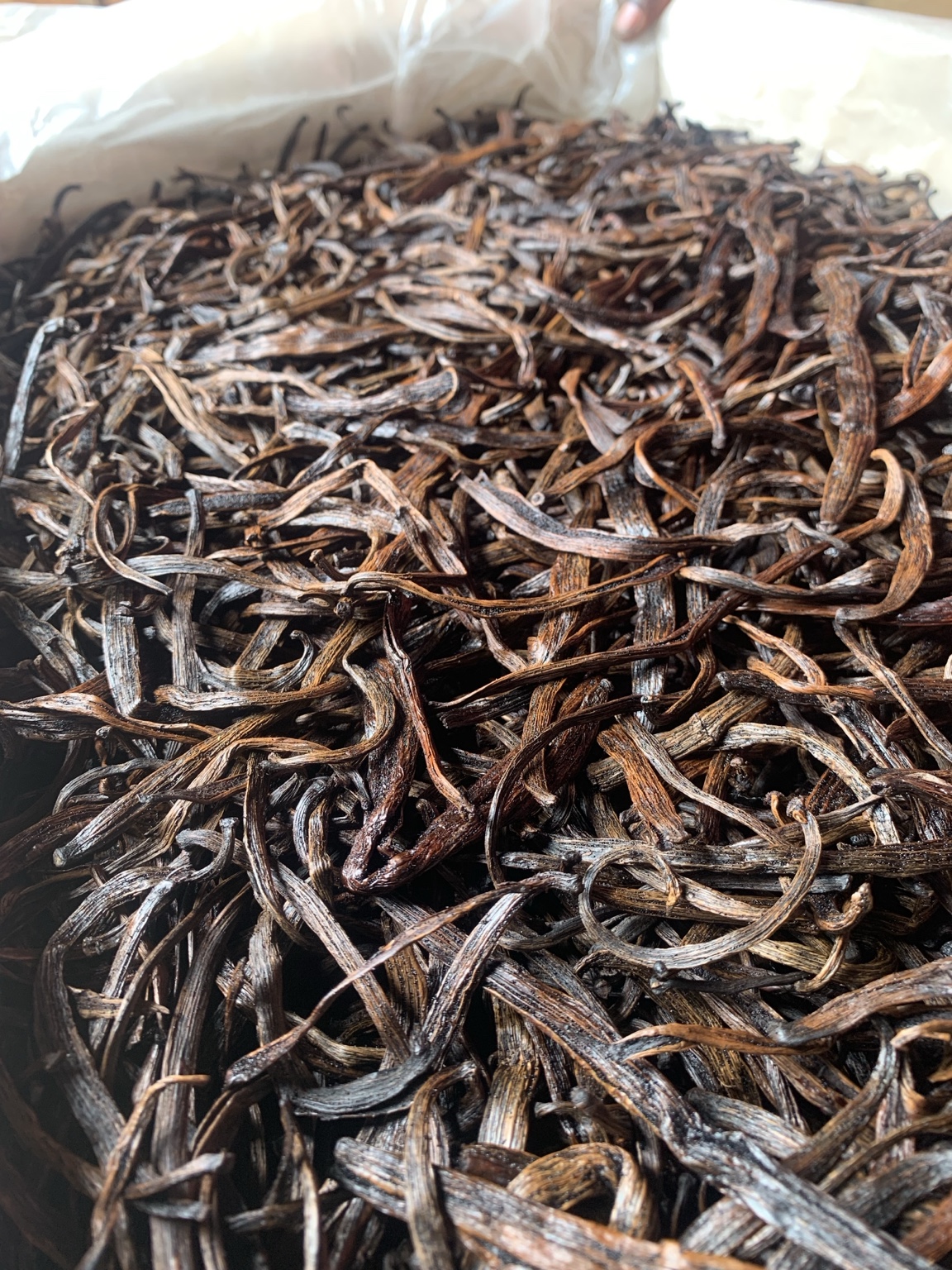 Vanilla beans